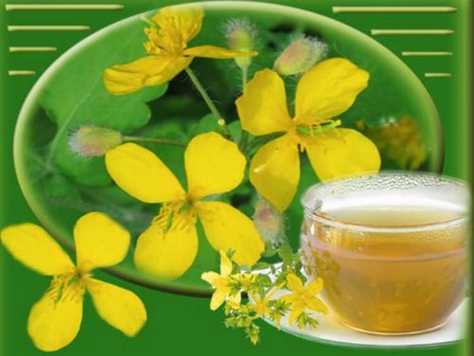 Celandine soup for treating onychomycosis