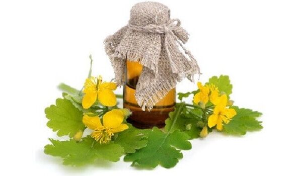 Celandine Oil Treats Onychomycosis